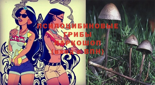спайс Баксан