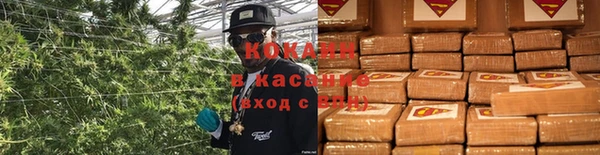 спайс Баксан
