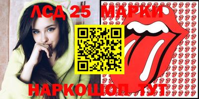 гидра Гатчина