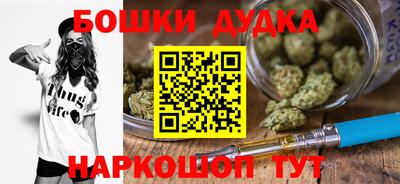 гидра Гатчина