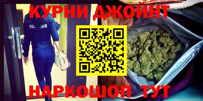 гидра Гатчина