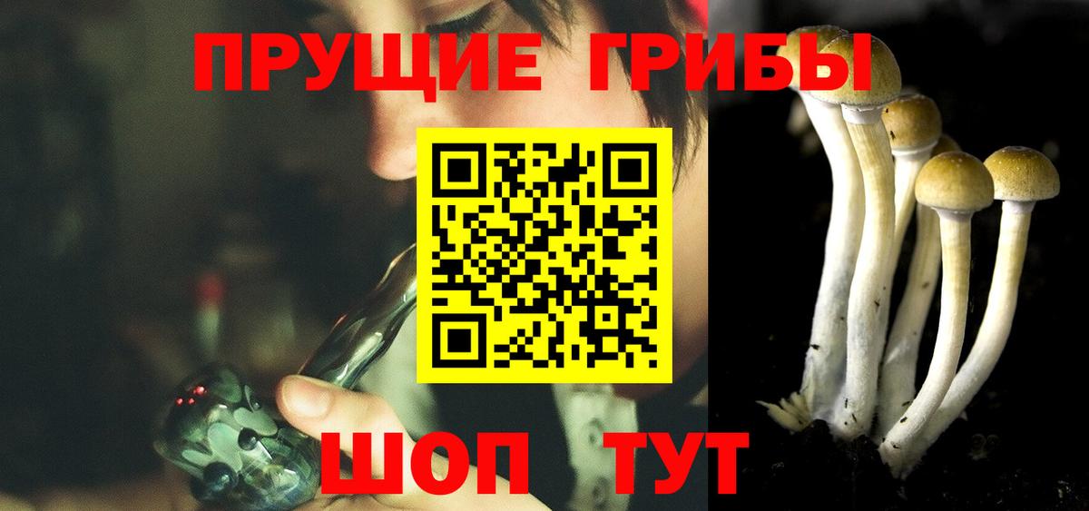 Псилоцибиновые грибы MAGIC MUSHROOMS Реутов